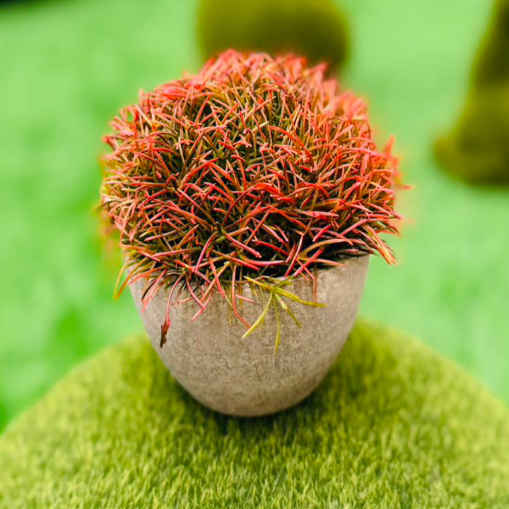 Artificial Flower With Pot 20000